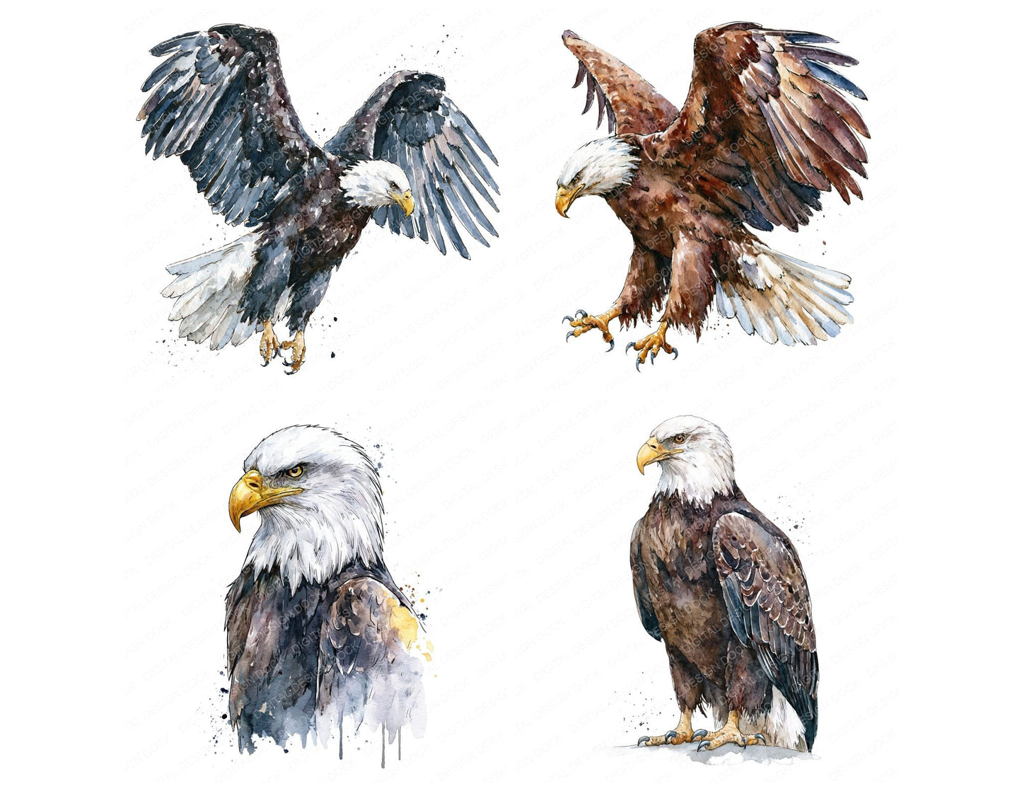 Realistic Bald Eagle Clipart Set (DDD012660)