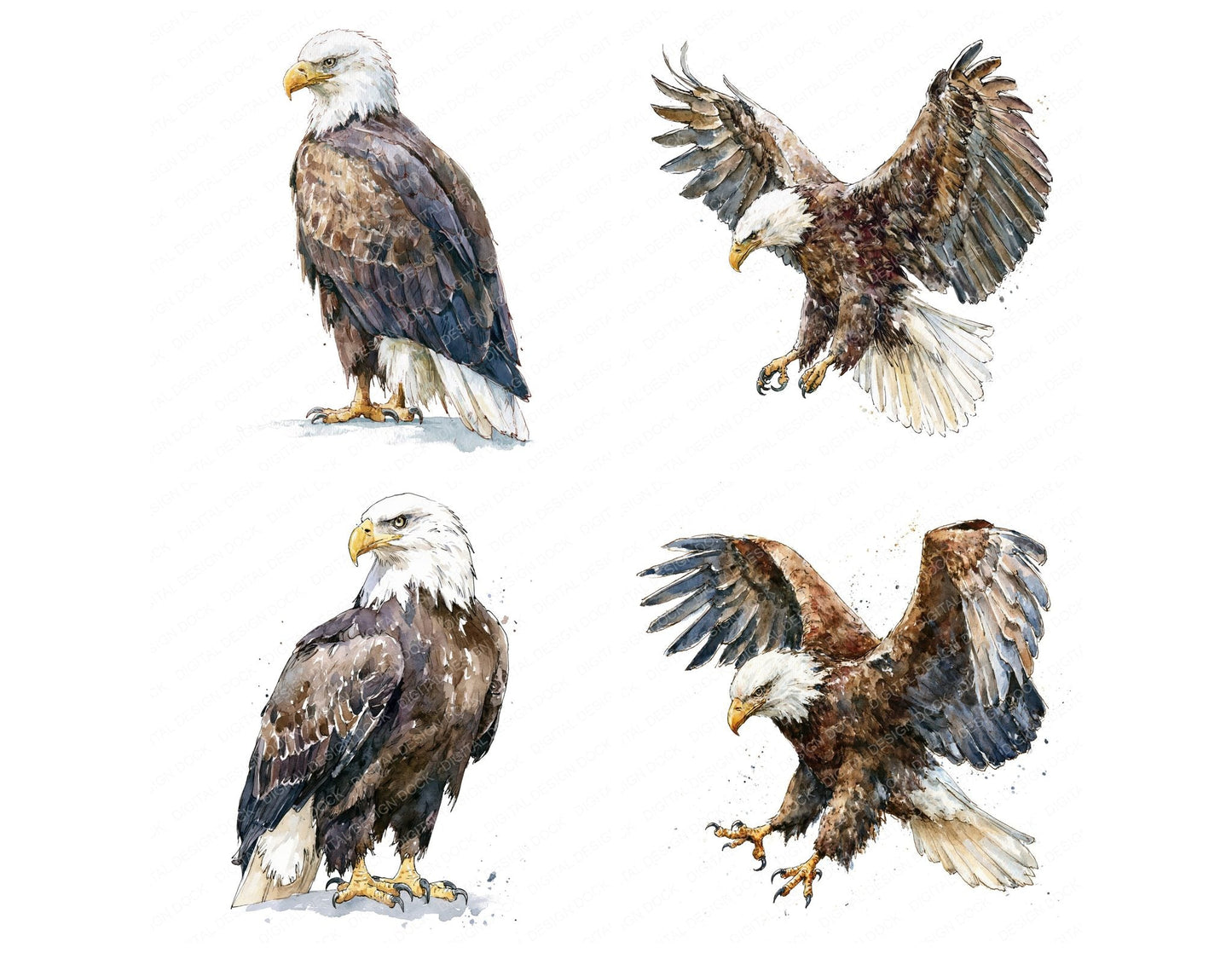 Realistic Bald Eagle Clipart Set (DDD012660)