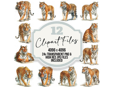 Realistic Bengal Tiger Clipart Set (DDD012661)