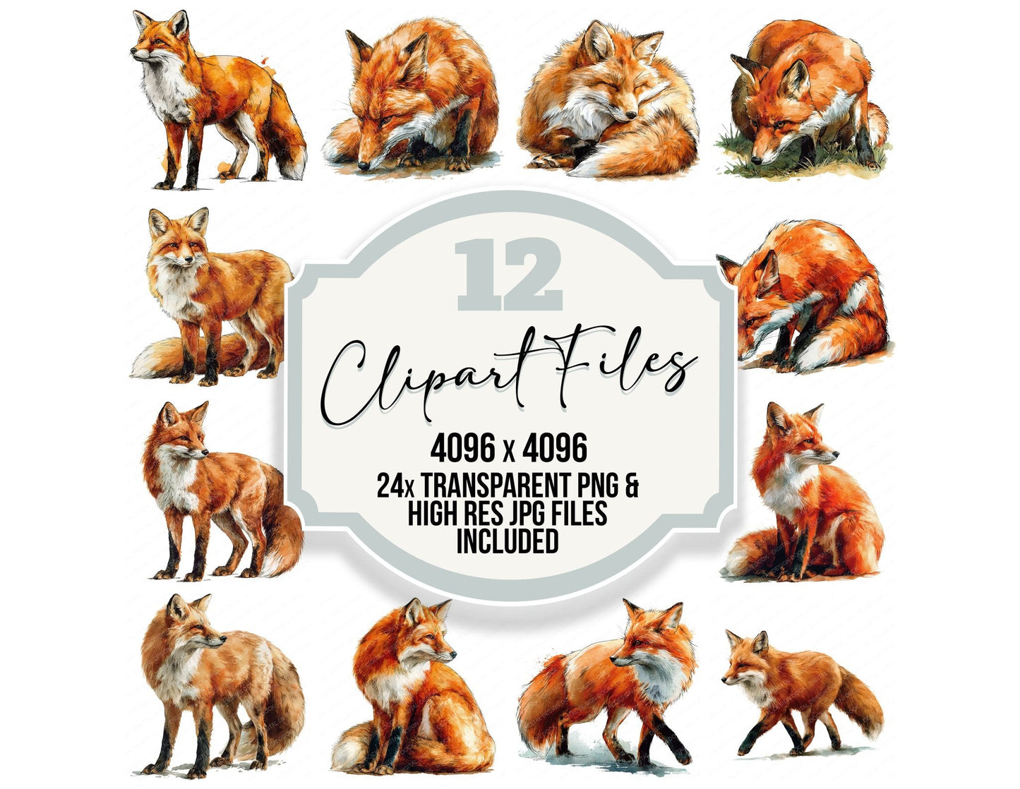 Realistic Red Fox Clipart Set (DDD012663)