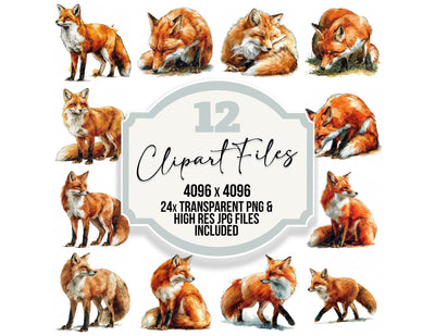 Realistic Red Fox Clipart Set (DDD012663)