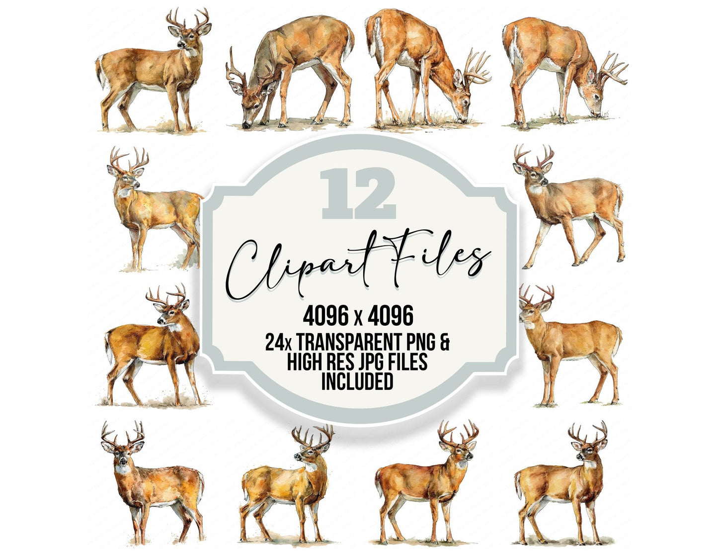 Realistic White Tailed Deer Stag Clipart Set (DDD012664)