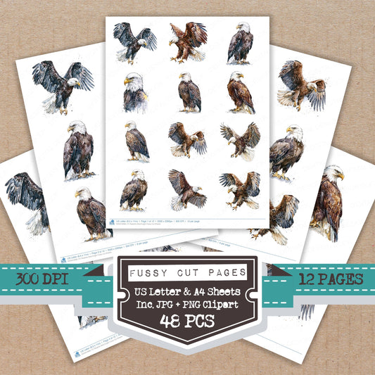 Realistic Bald Eagle Fussy Cut Sheets (DDD012680)
