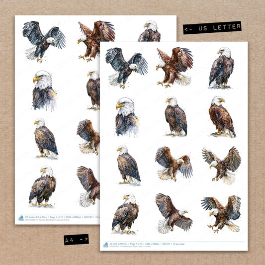 Realistic Bald Eagle Fussy Cut Sheets (DDD012680)