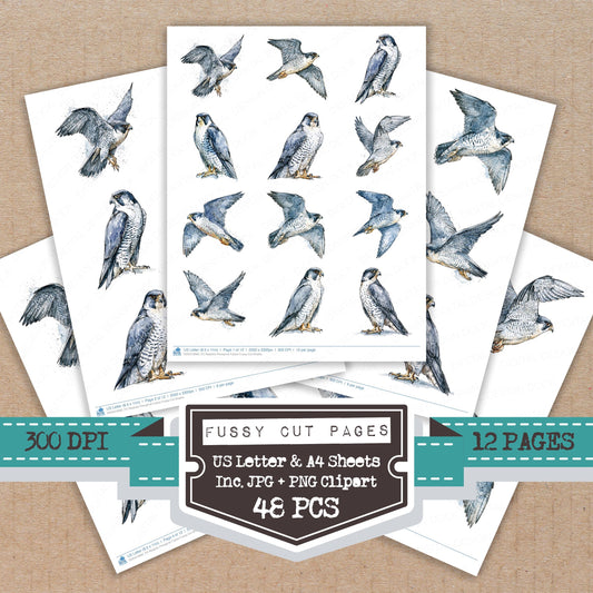 Realistic Peregrine Falcon Fussy Cut Sheets (DDD012682)