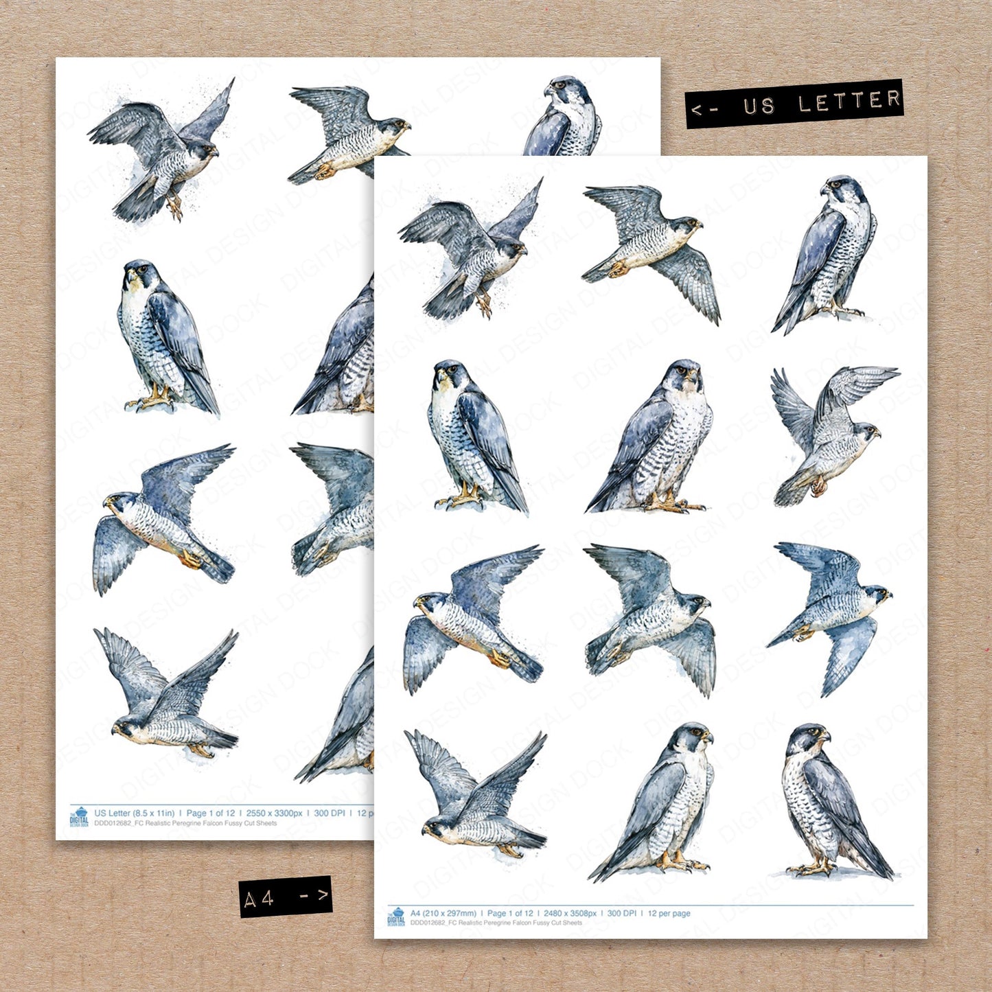 Realistic Peregrine Falcon Fussy Cut Sheets (DDD012682)