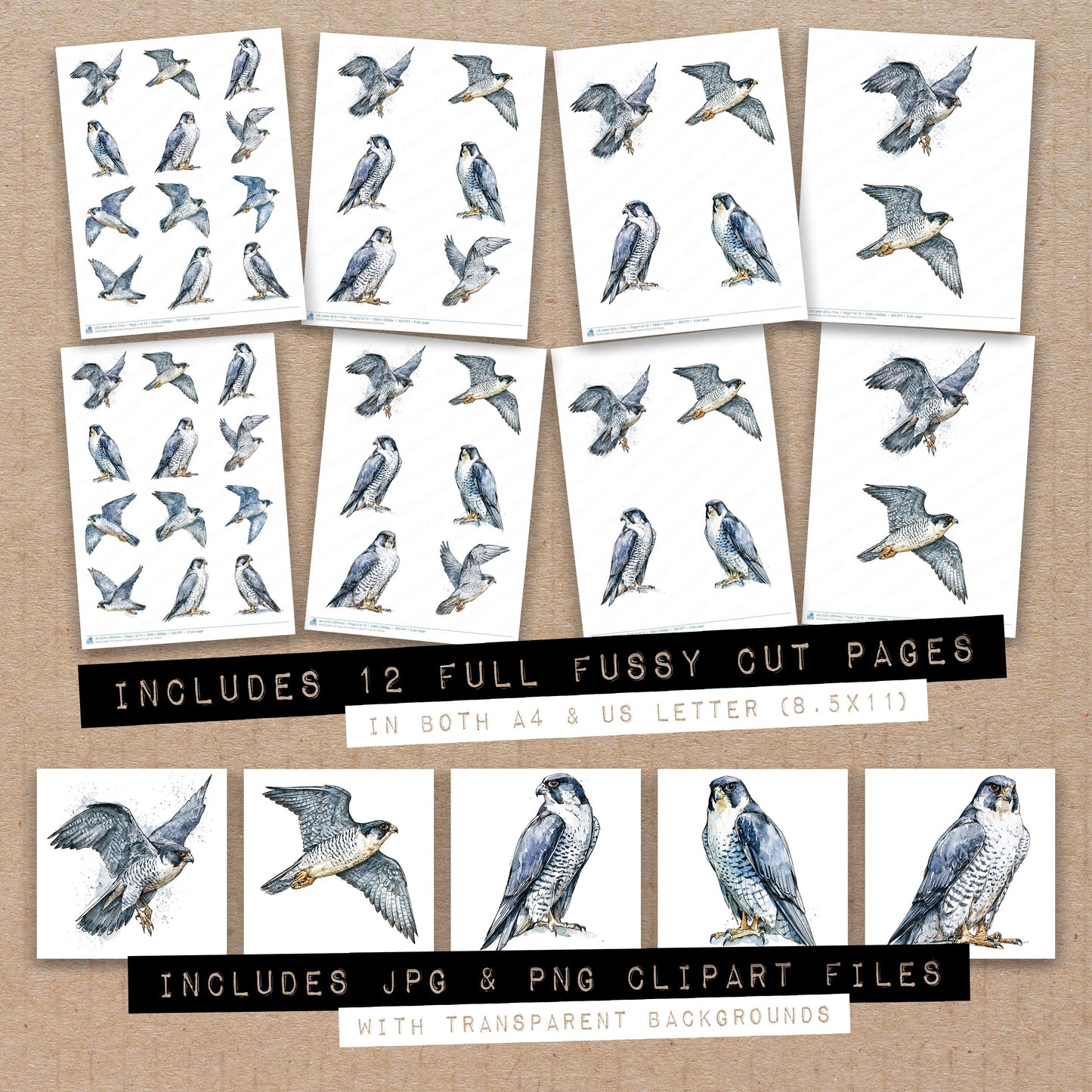 Realistic Peregrine Falcon Fussy Cut Sheets (DDD012682)