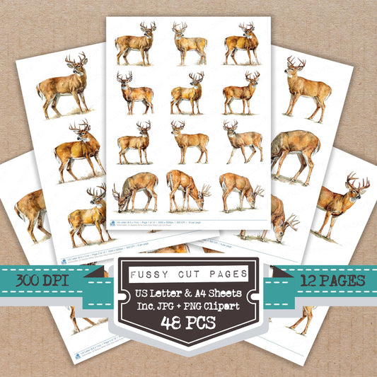Realistic White Tailed Deer Stag Fussy Cut Sheets (DDD012684)