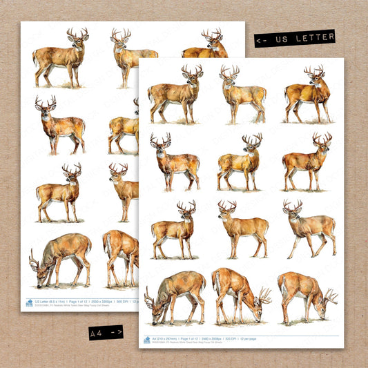 Realistic White Tailed Deer Stag Fussy Cut Sheets (DDD012684)