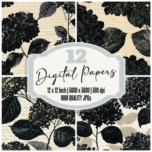 Letterpress Hydrangea Cream Black Digital Paper Pack (DDD012872)