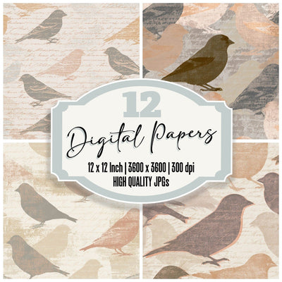Letterpress Victorian Goldfinch Sand Digital Paper Pack (DDD012934)