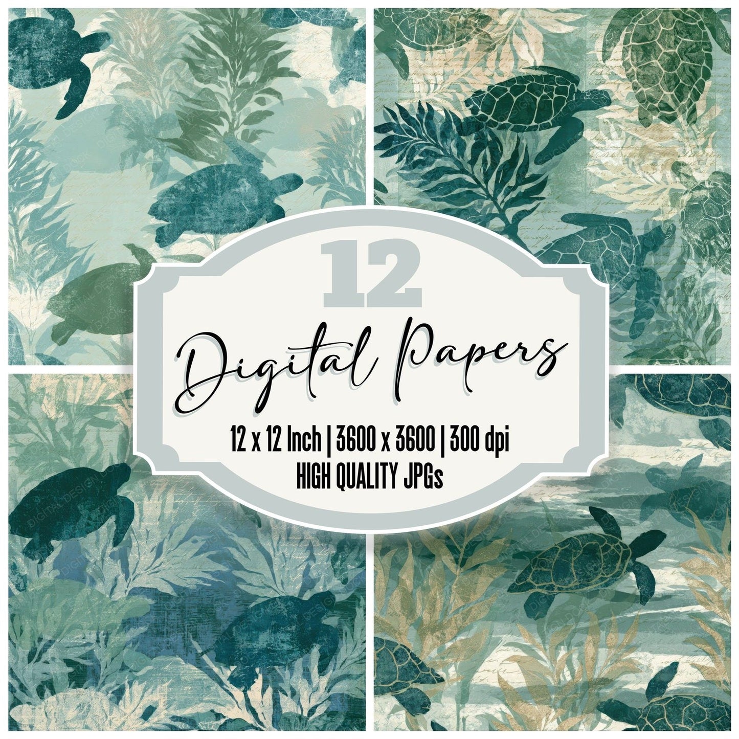 Etching Turtle Sage Ivory Digital Paper Pack (DDD012986)