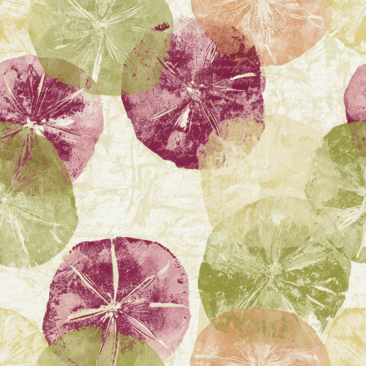 Monoprint Sand Dollars Pistachio Raspberry Digital Paper Pack (DDD012995)