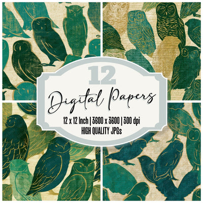 Pop Art Owls Emerald Jade Digital Paper Pack (DDD013035)