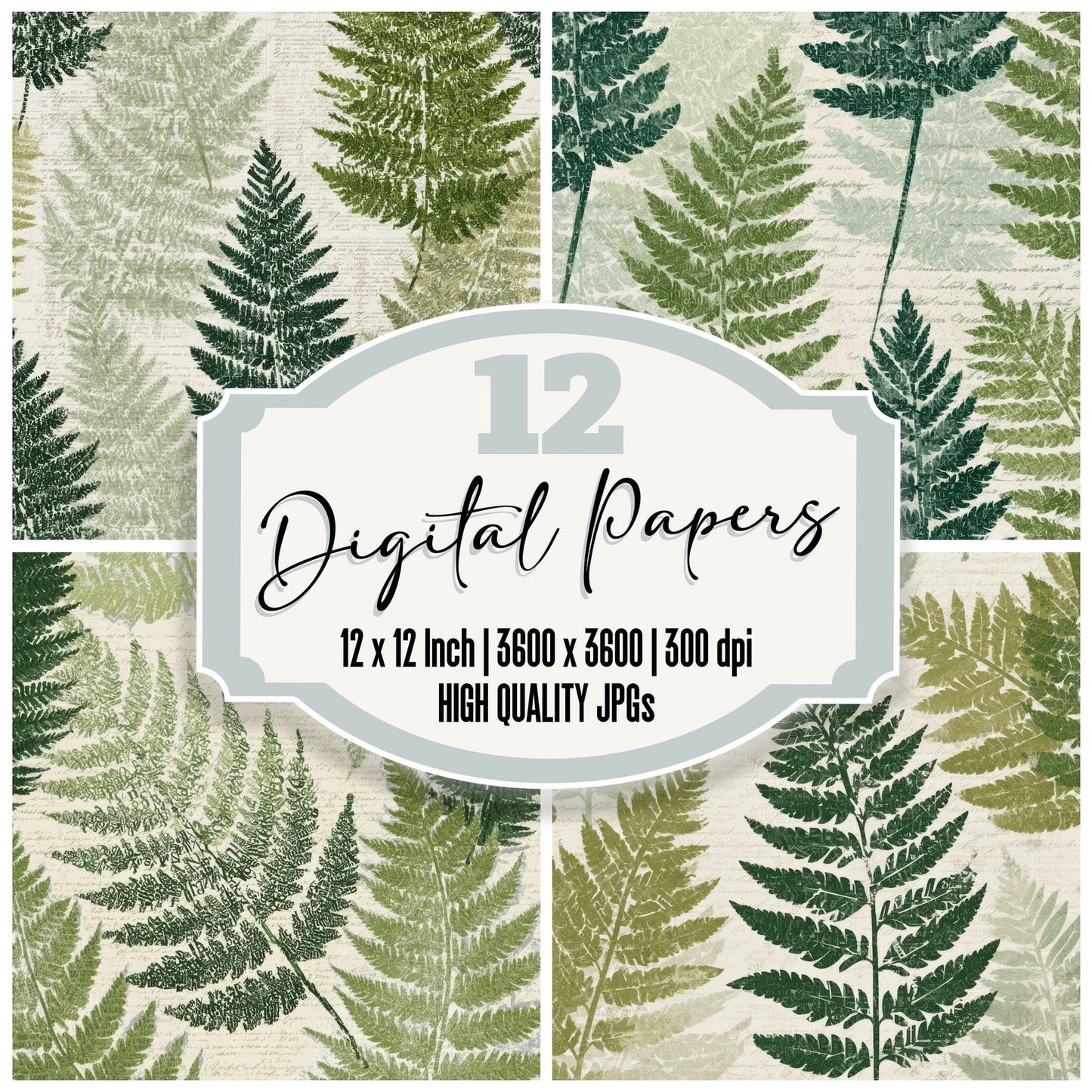 Typographic Ferns Sage Cream Digital Paper Pack (DDD013139)