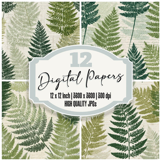 Typographic Ferns Sage Cream Digital Paper Pack (DDD013139)