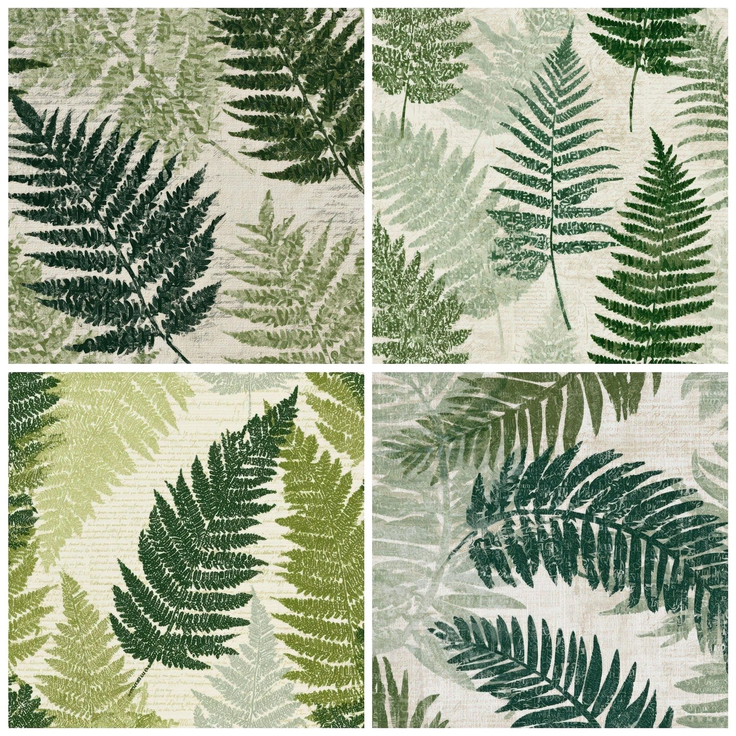 Typographic Ferns Sage Cream Digital Paper Pack (DDD013139)
