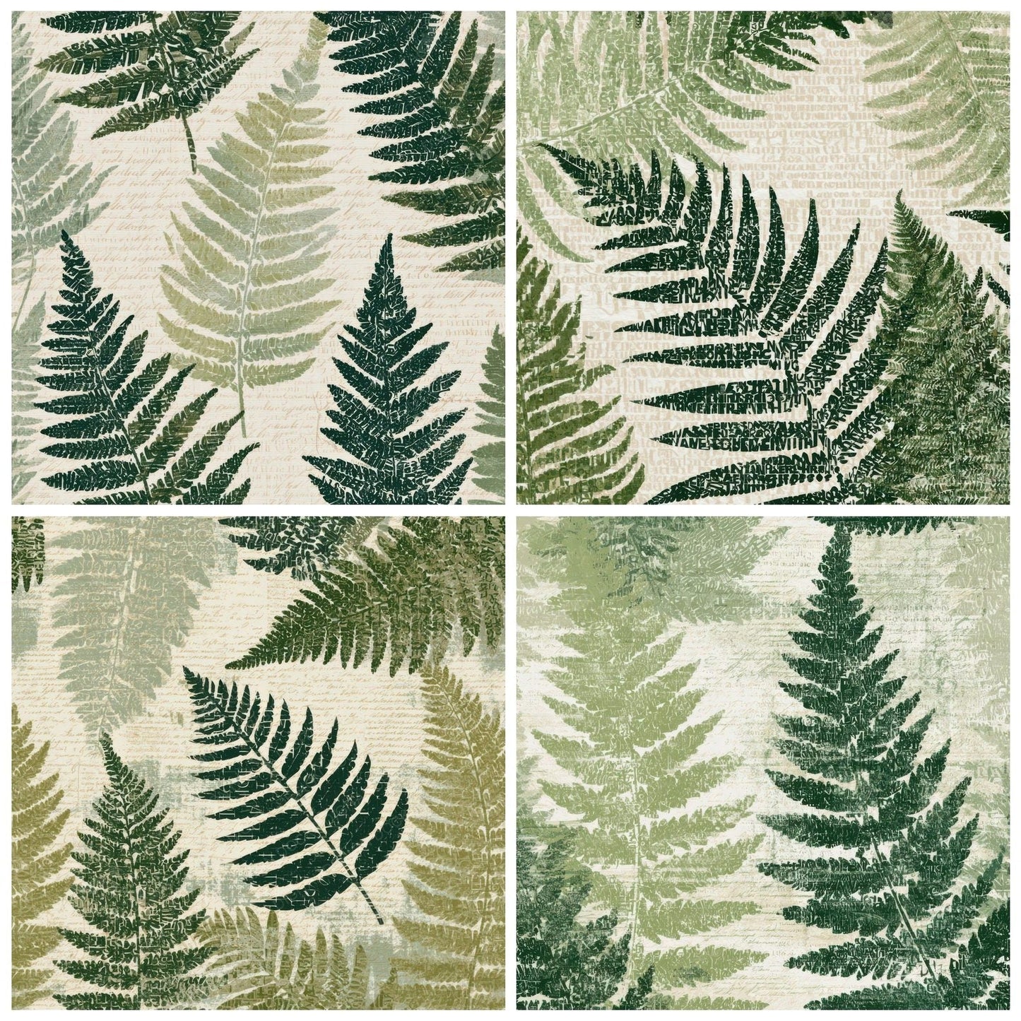 Typographic Ferns Sage Cream Digital Paper Pack (DDD013139)