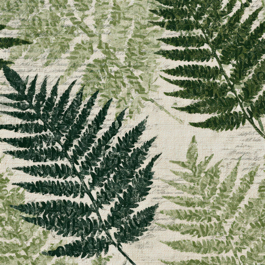Typographic Ferns Sage Cream Digital Paper Pack (DDD013139)