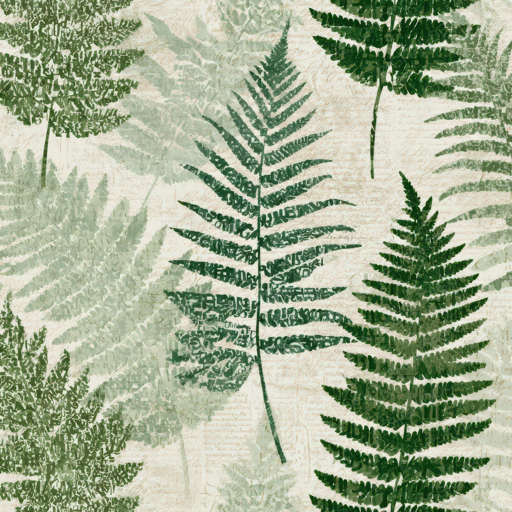 Typographic Ferns Sage Cream Digital Paper Pack (DDD013139)