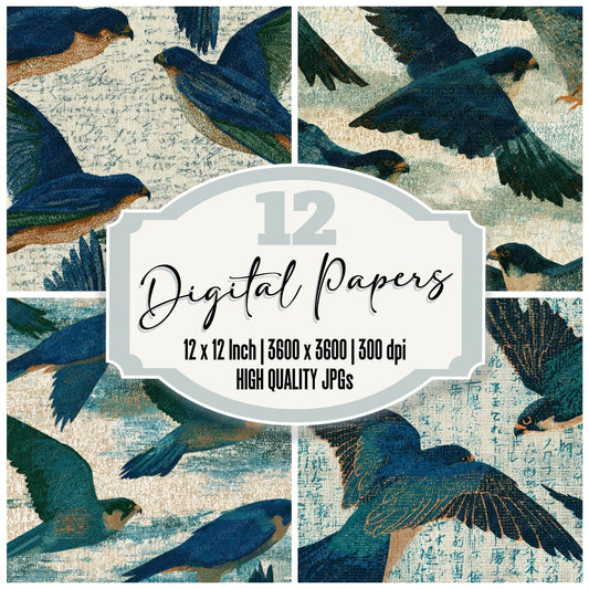 ASCII Falcons Azure Cypress Bone Digital Paper Pack (DDD013146)