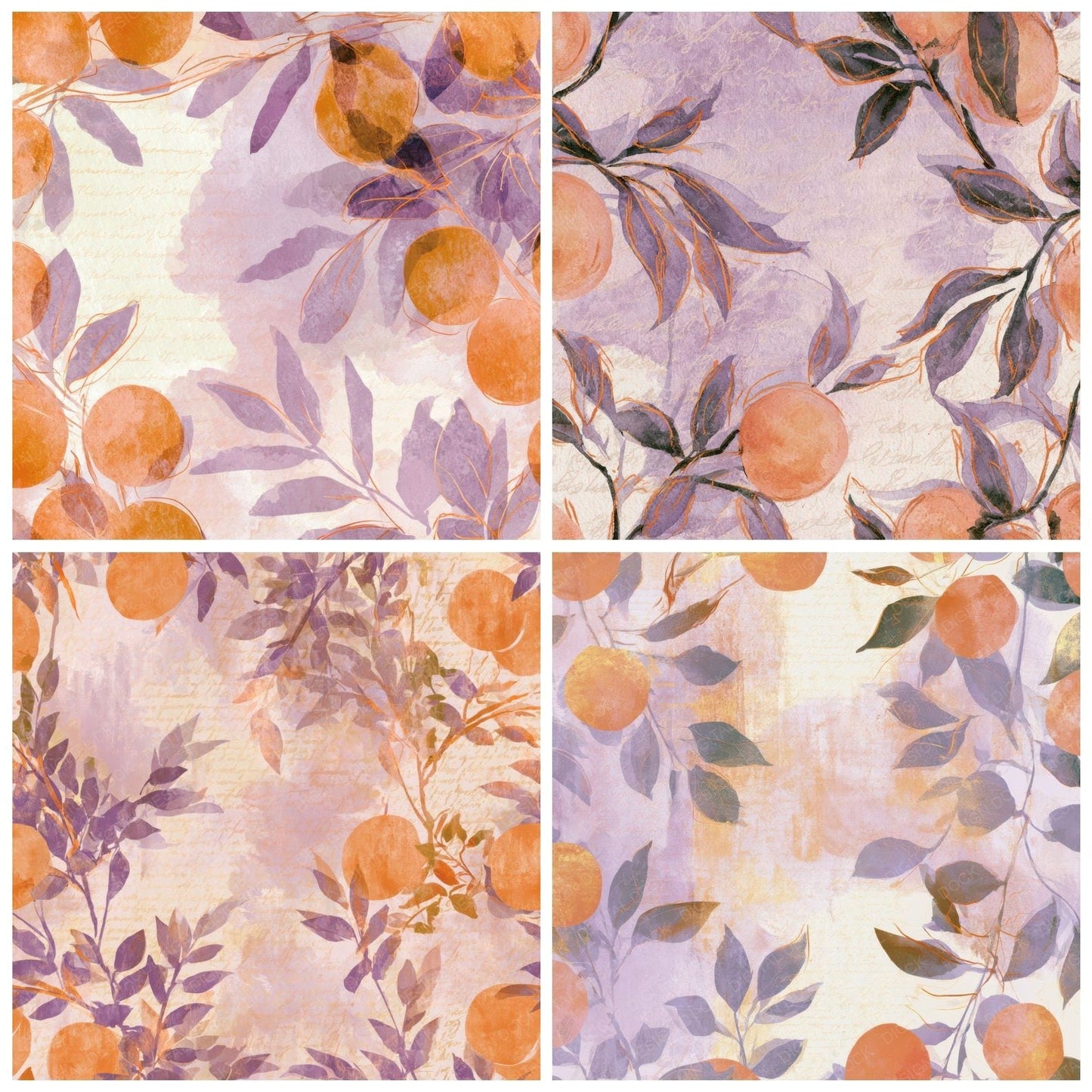 Watercolour Apricots Lavender Cream Digital Paper Pack (DDD013222)
