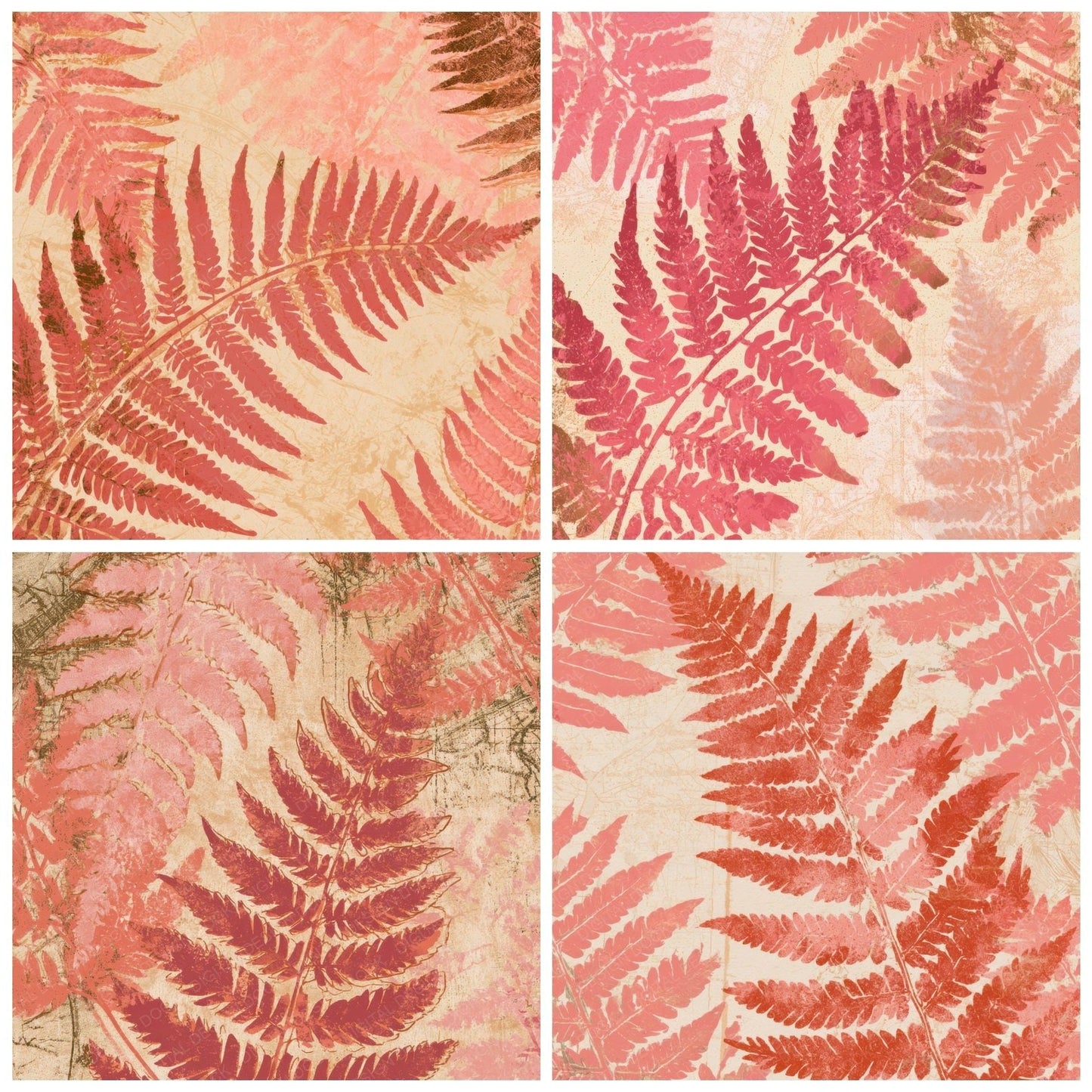 Minimal Fern Coral Dusty Pink Digital Paper Pack (DDD013305)