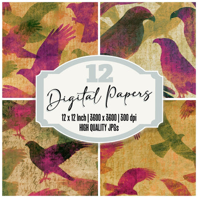 X-Ray Hawks Fuchsia Lime Digital Paper Pack (DDD013343)