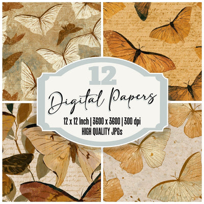 Minimal Luna Moth Sepia Parchment Digital Paper Pack (DDD013346)