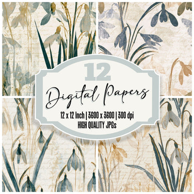 Blueprint Snowdrops Slate Sand Digital Paper Pack (DDD013548)