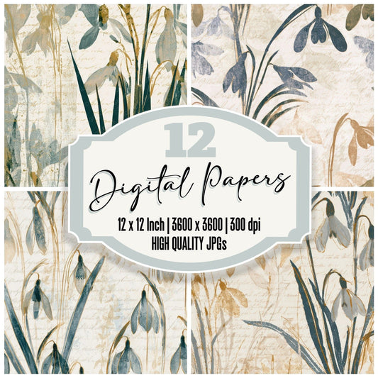 Blueprint Snowdrops Slate Sand Digital Paper Pack (DDD013548)
