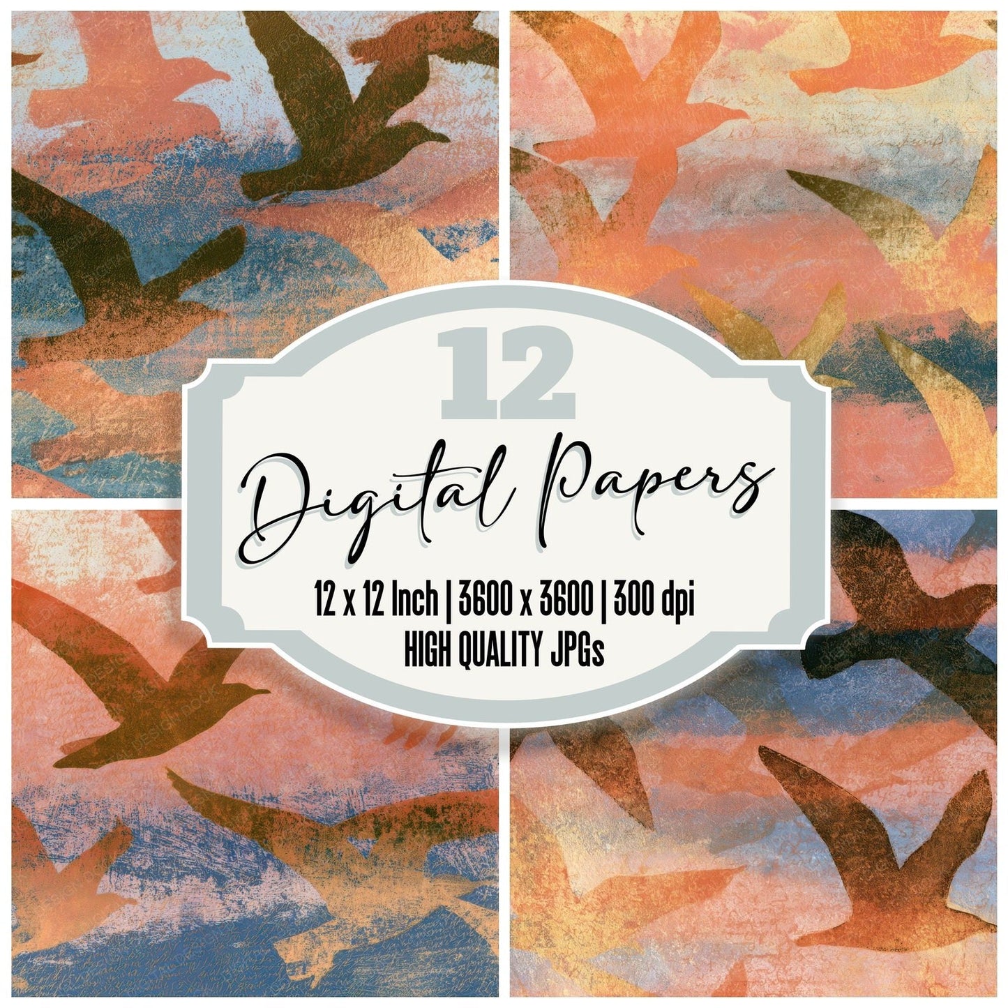 Etching Gulls Apricot Rose Digital Paper Pack (DDD013569)