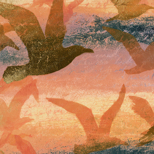Etching Gulls Apricot Rose Digital Paper Pack (DDD013569)