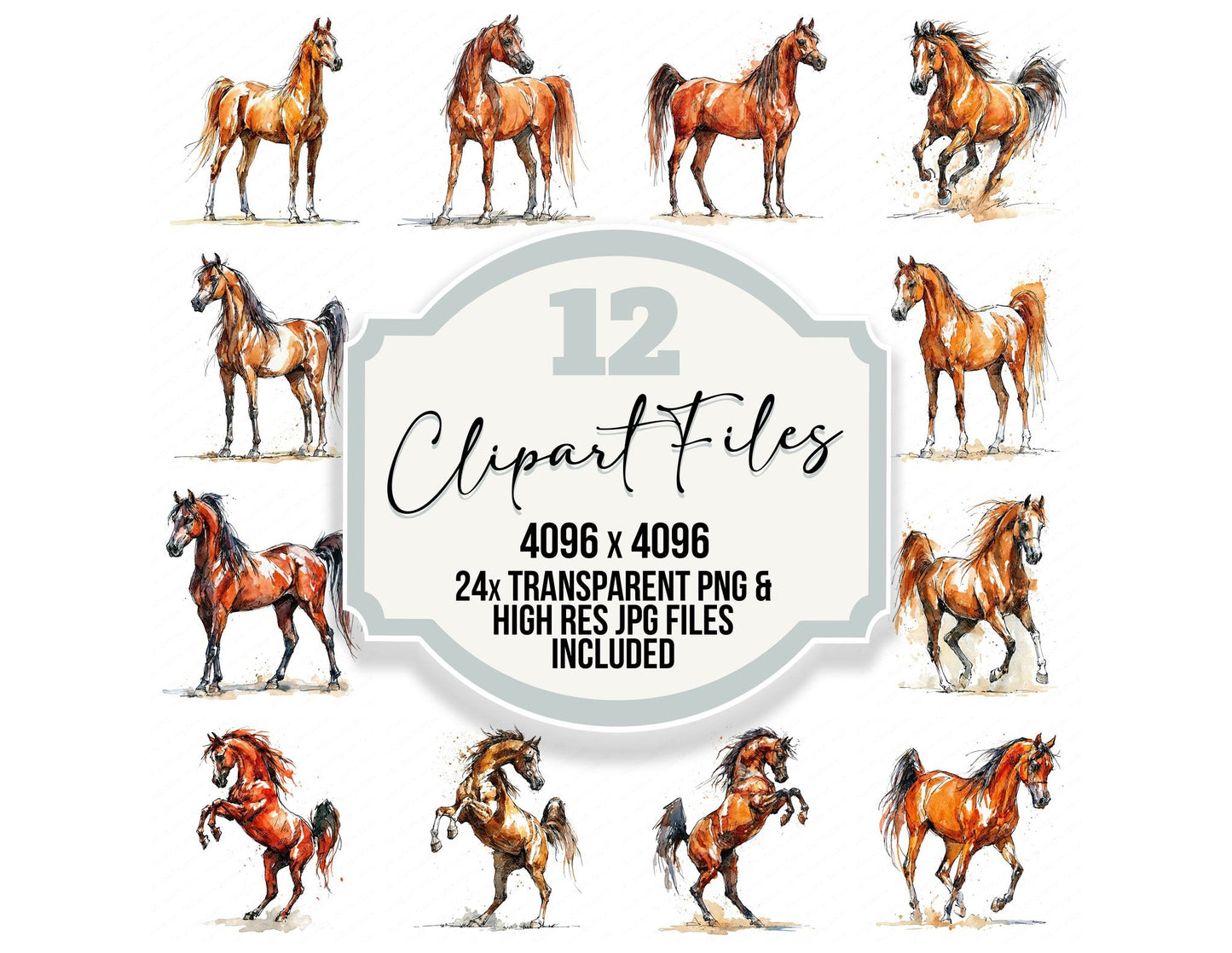 Realistic Arabian Horse Clipart Set (DDD013693)
