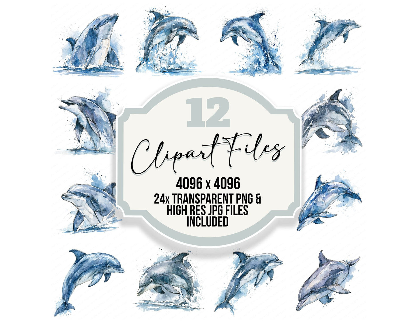 Realistic Bottlenose Dolphin Clipart Set (DDD013695)