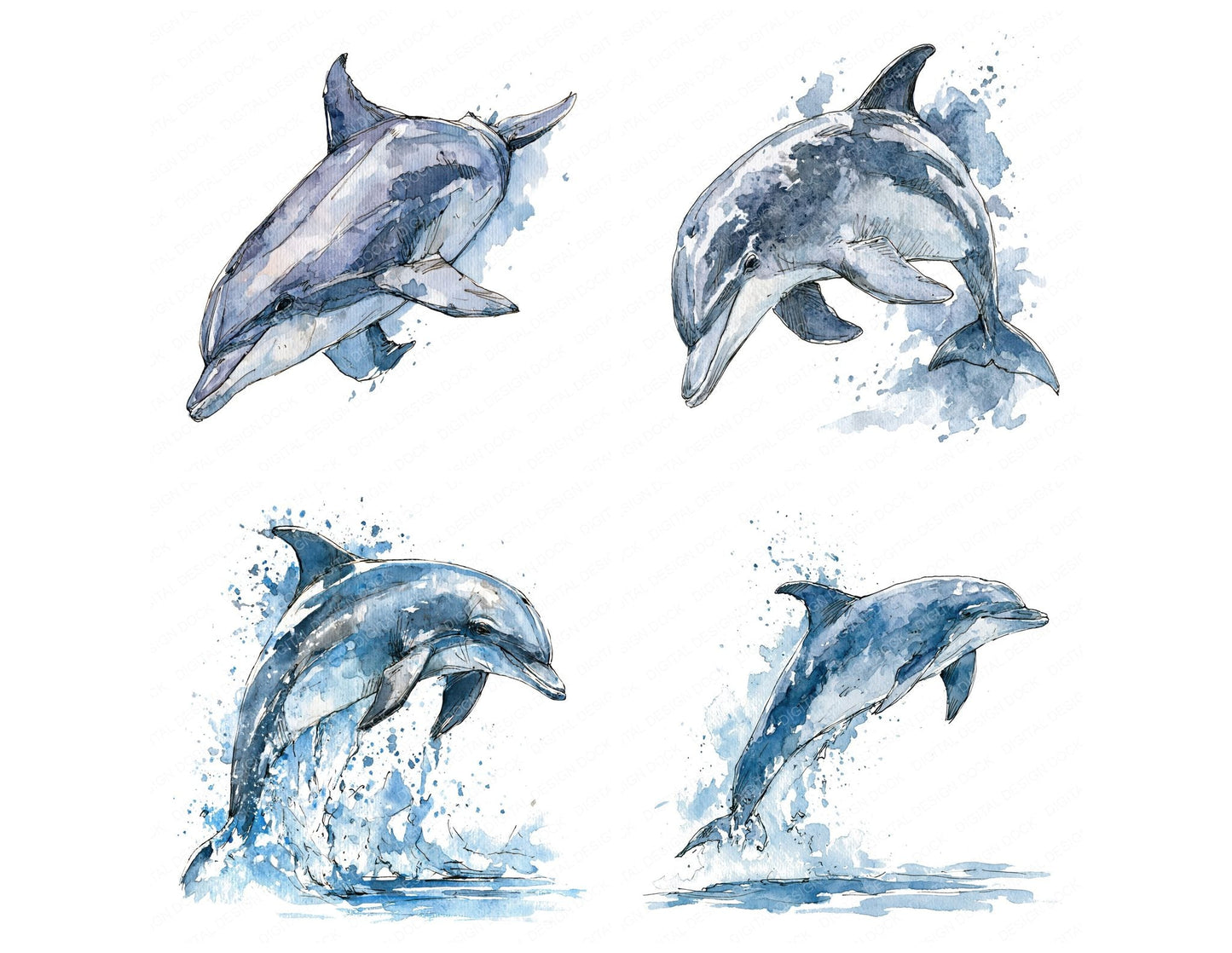 Realistic Bottlenose Dolphin Clipart Set (DDD013695)