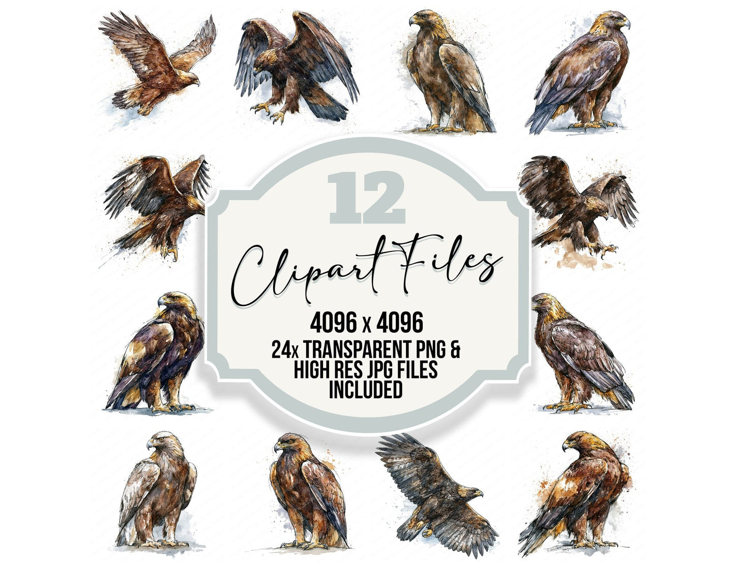 Realistic Golden Eagle Clipart Set (DDD013698)