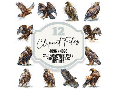 Realistic Golden Eagle Clipart Set (DDD013698)