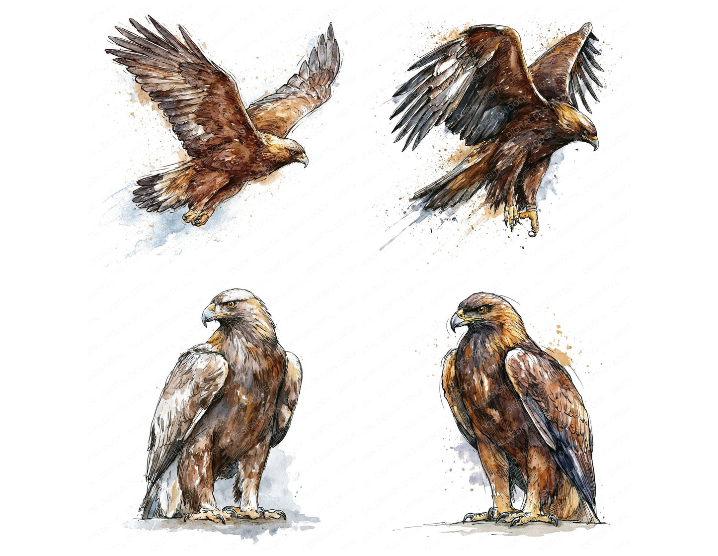 Realistic Golden Eagle Clipart Set (DDD013698)