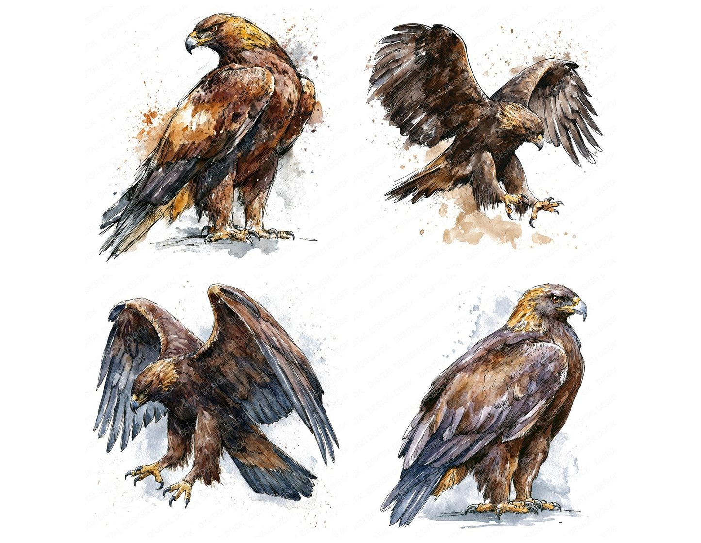Realistic Golden Eagle Clipart Set (DDD013698)