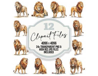 Realistic Male Lion Clipart Set (DDD013700)