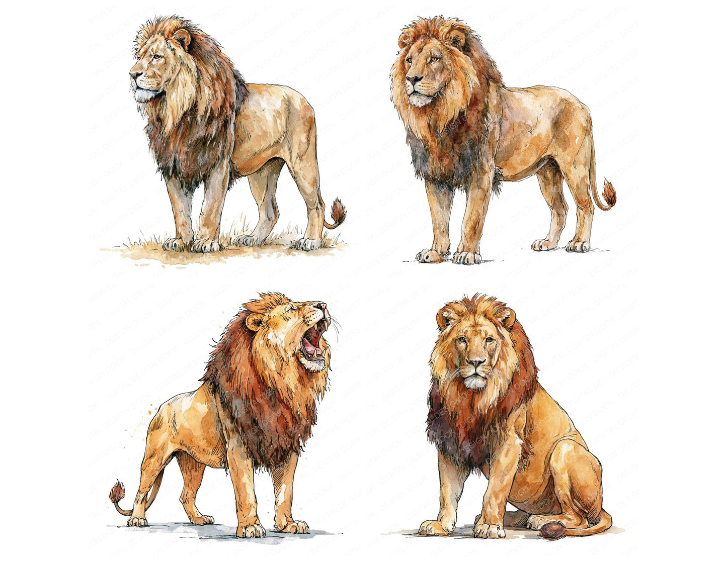 Realistic Male Lion Clipart Set (DDD013700)