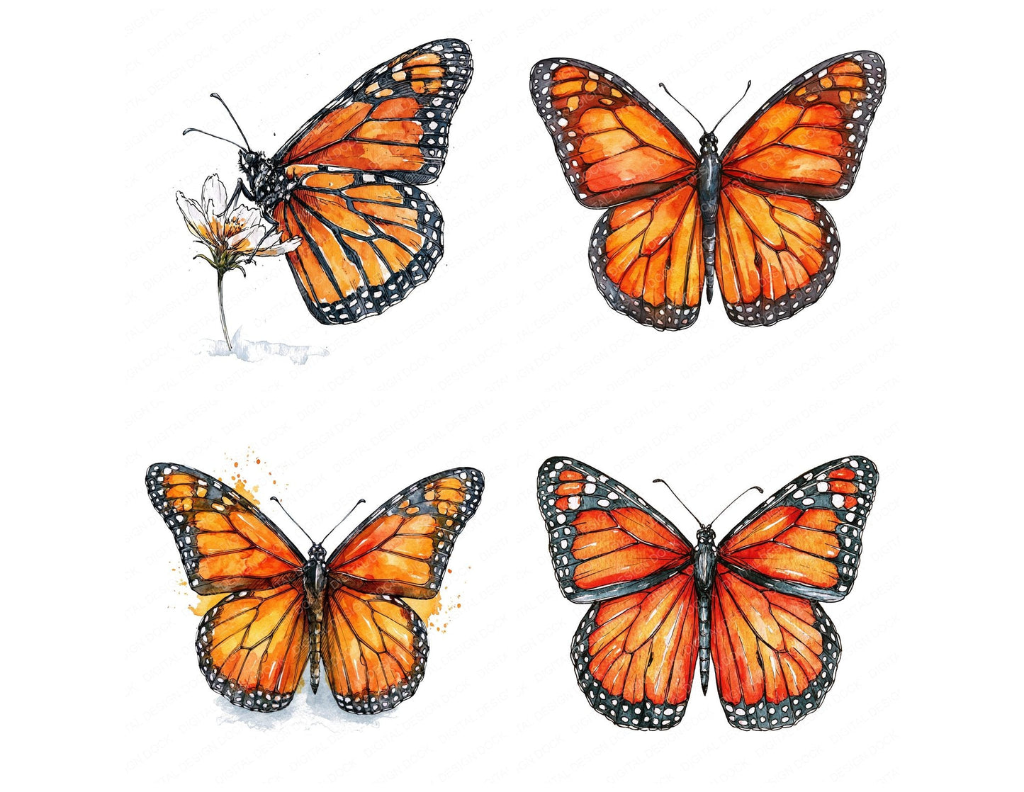 Realistic Monarch Butterfly Clipart Set (DDD013701)