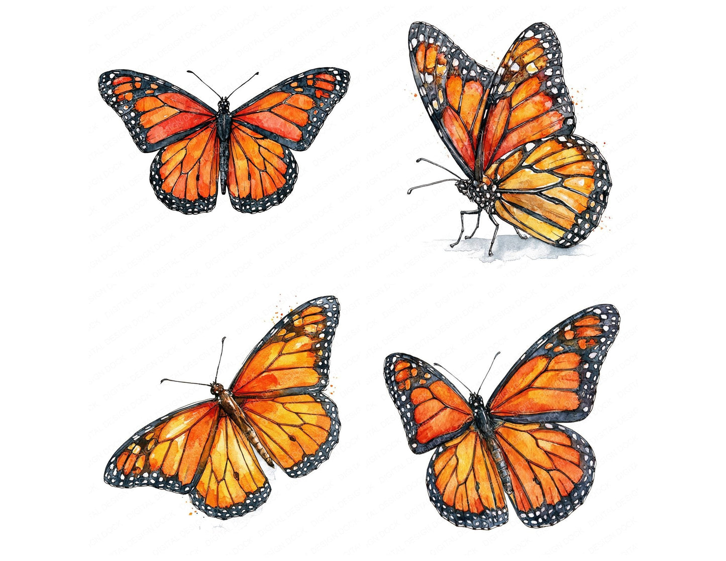 Realistic Monarch Butterfly Clipart Set (DDD013701)