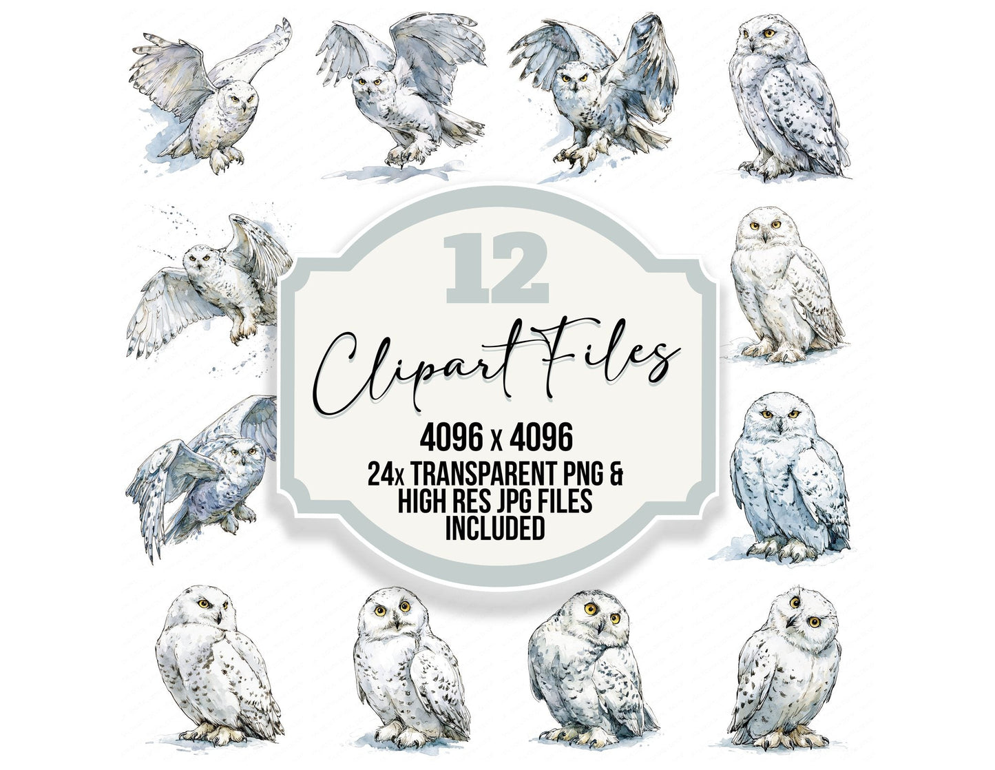 Realistic Snowy Owl Clipart Set (DDD013703)