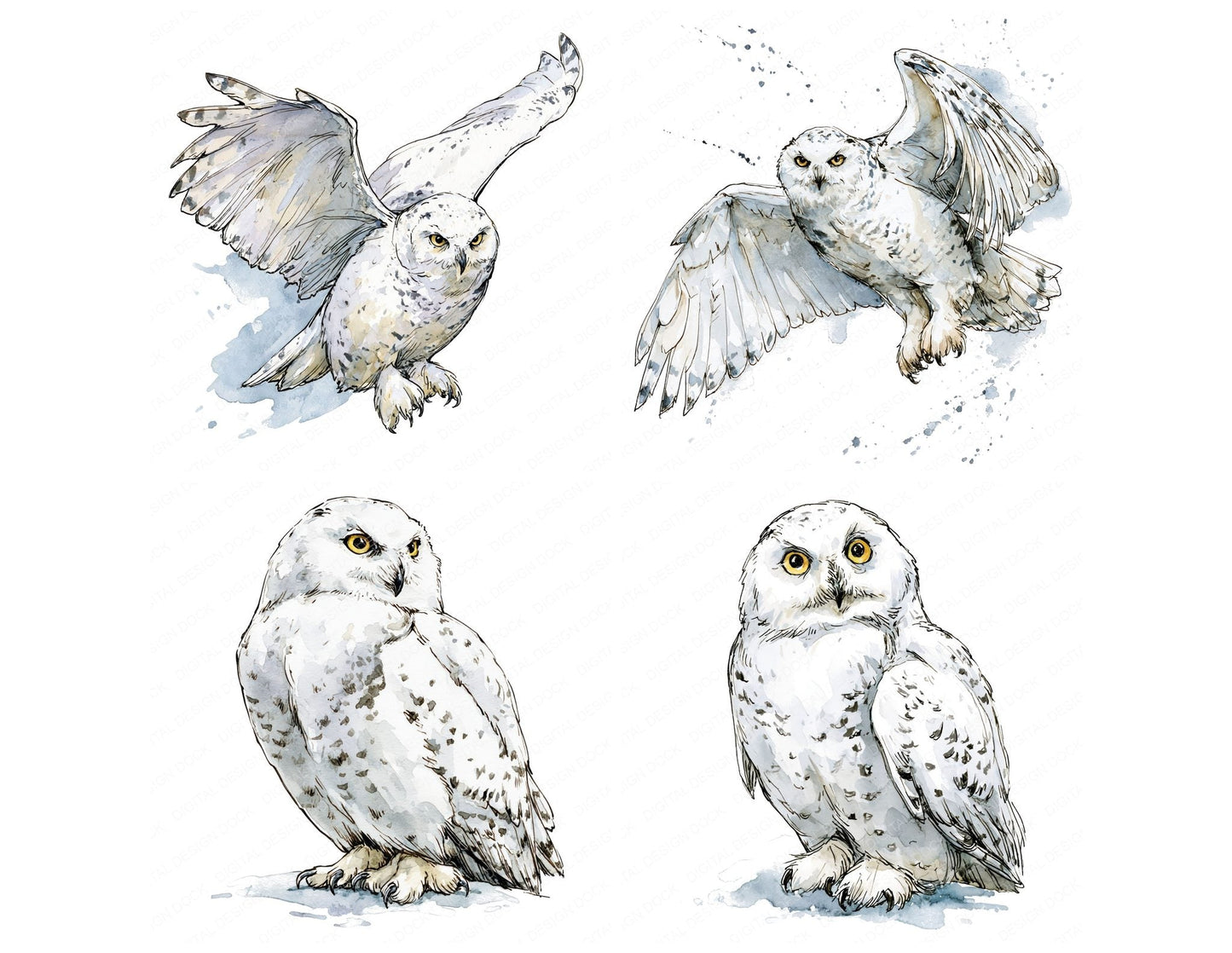 Realistic Snowy Owl Clipart Set (DDD013703)