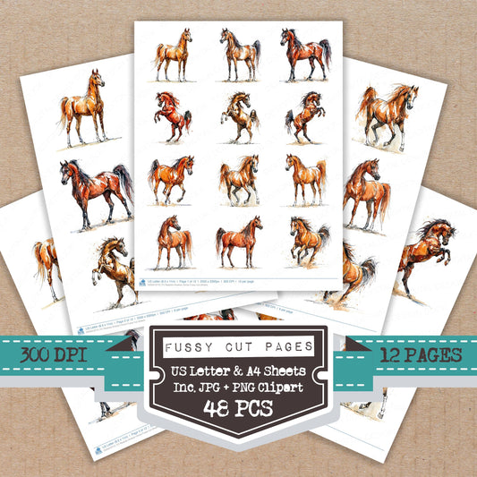 Realistic Arabian Horse Fussy Cut Sheets (DDD013713)