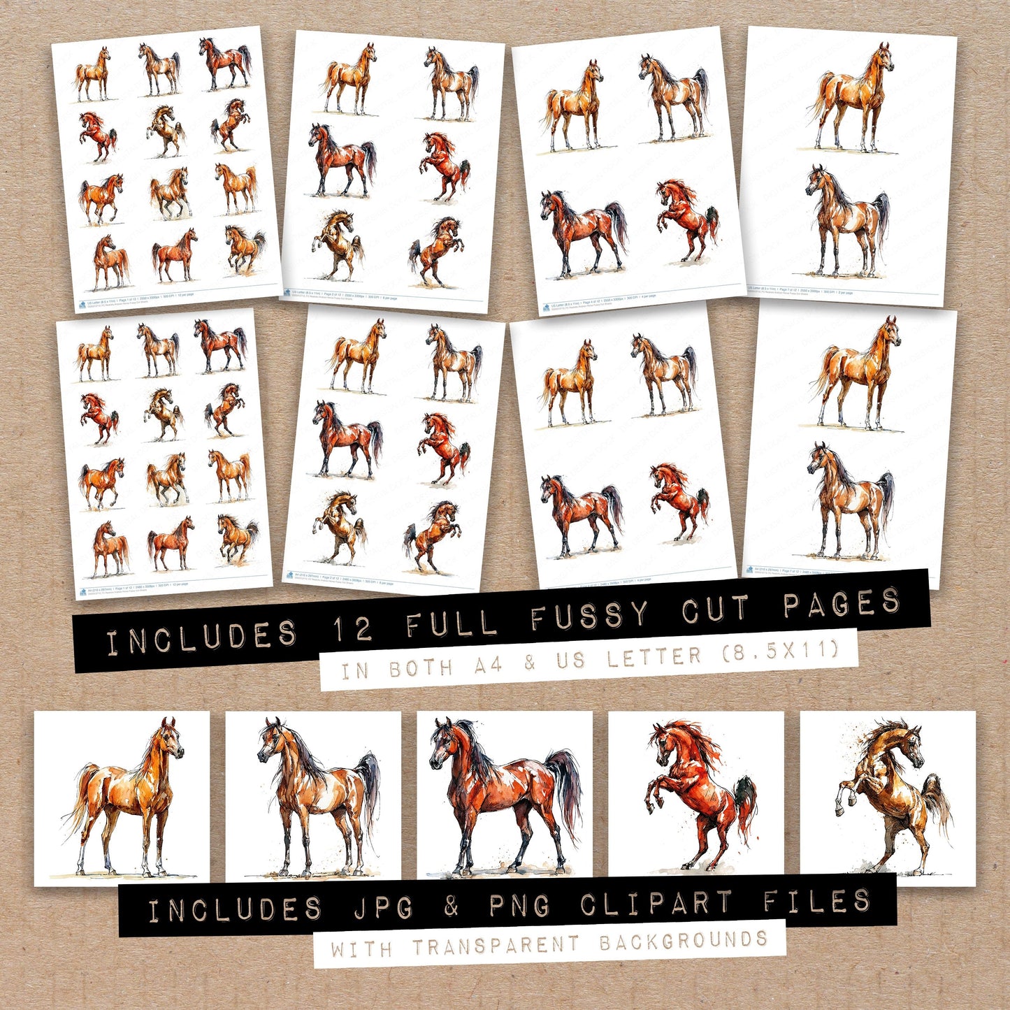 Realistic Arabian Horse Fussy Cut Sheets (DDD013713)