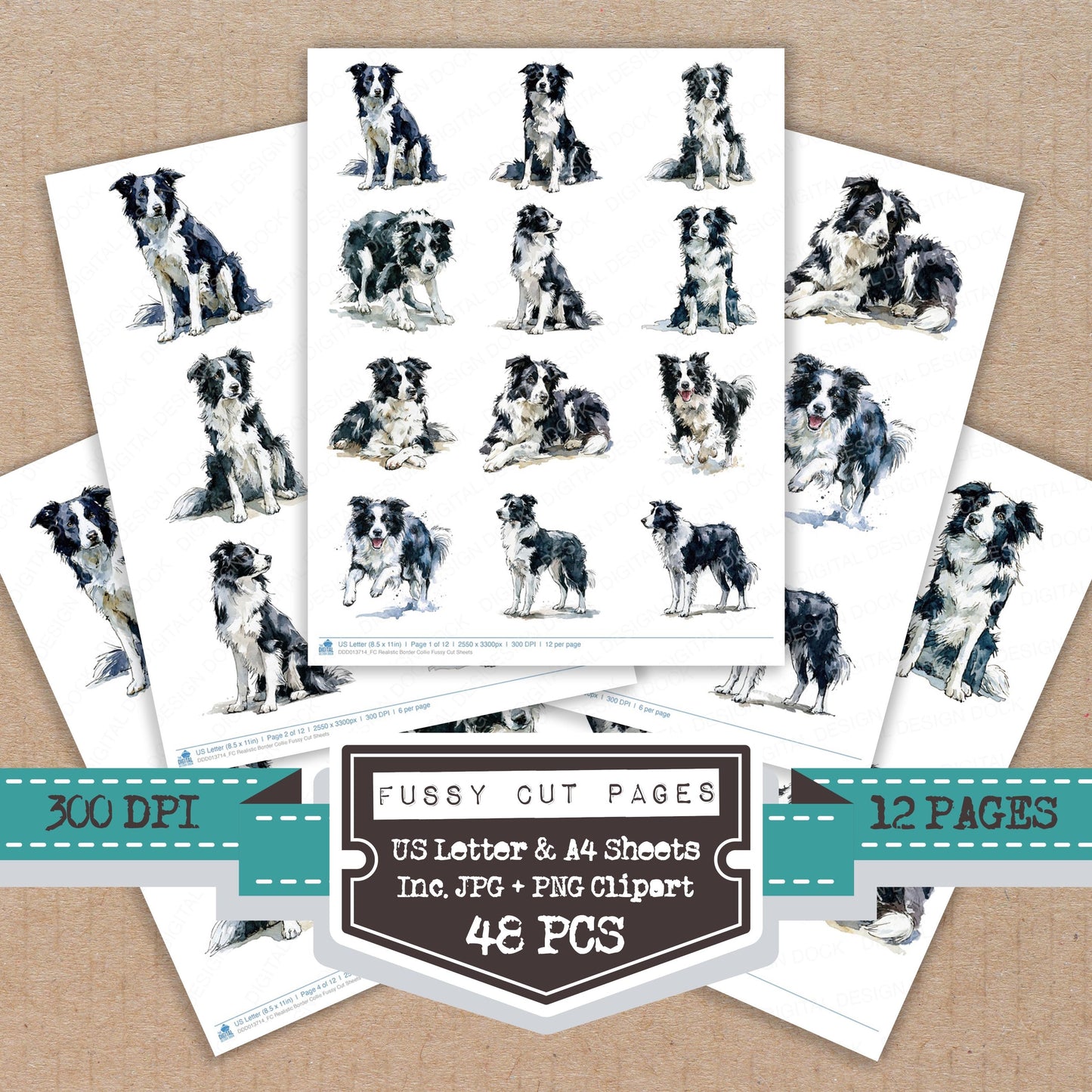 Realistic Border Collie Fussy Cut Sheets (DDD013714)