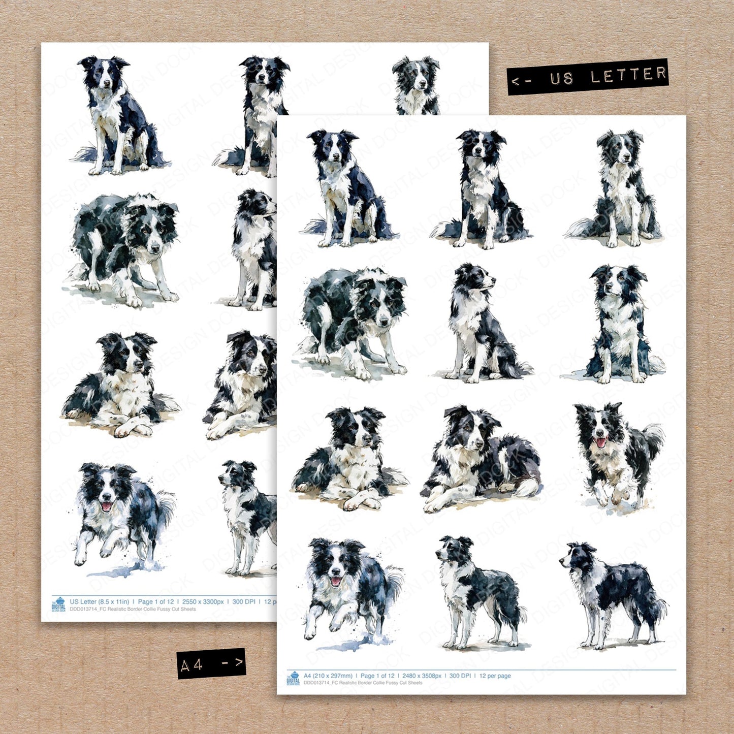 Realistic Border Collie Fussy Cut Sheets (DDD013714)